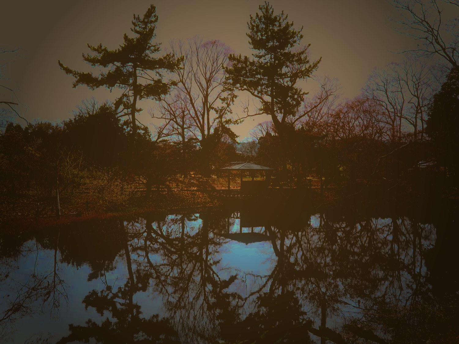 B 夜の植物園